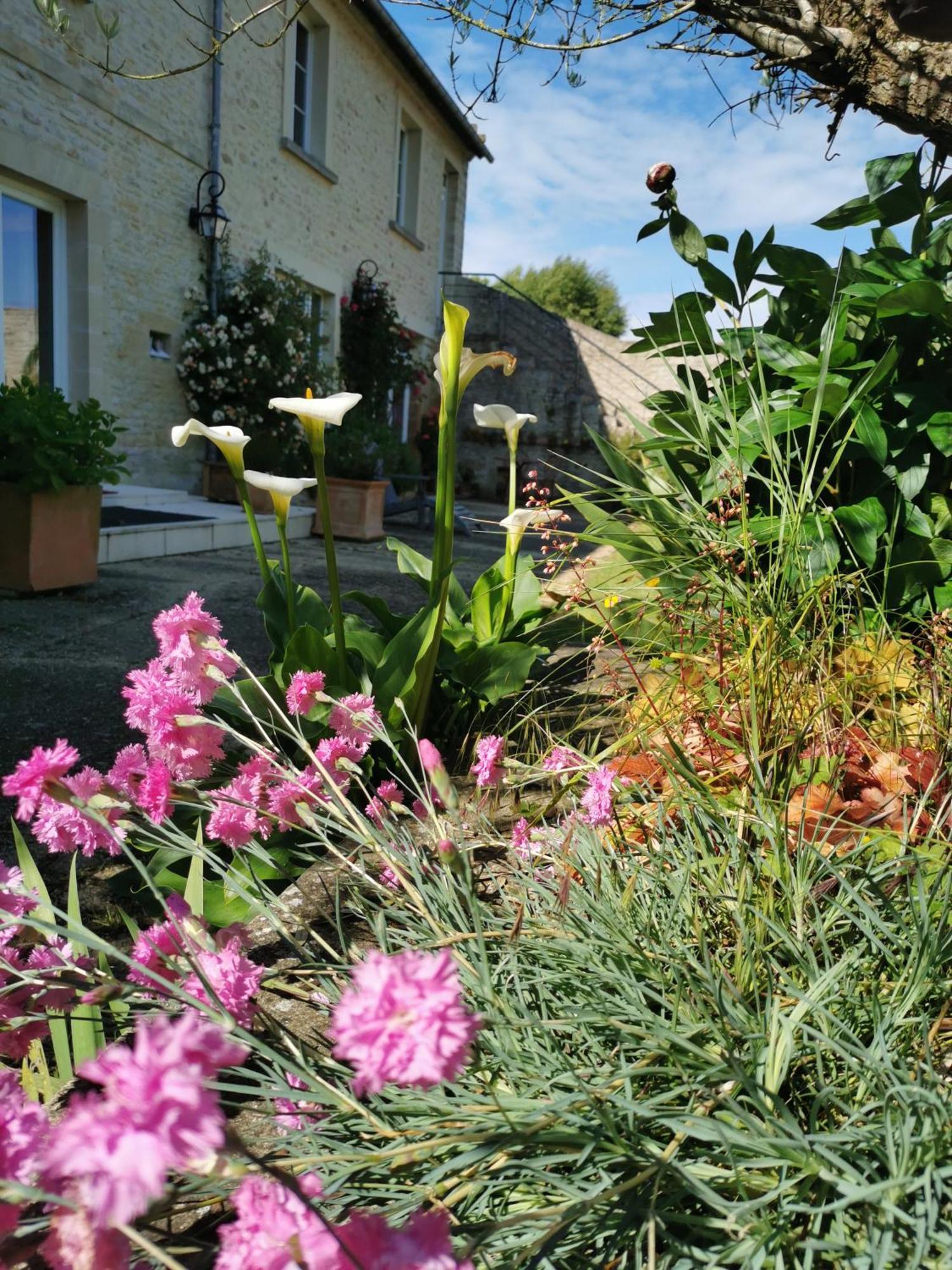 Chambre De L'Iris Sainte-Croix-sur-Mer 外观 照片