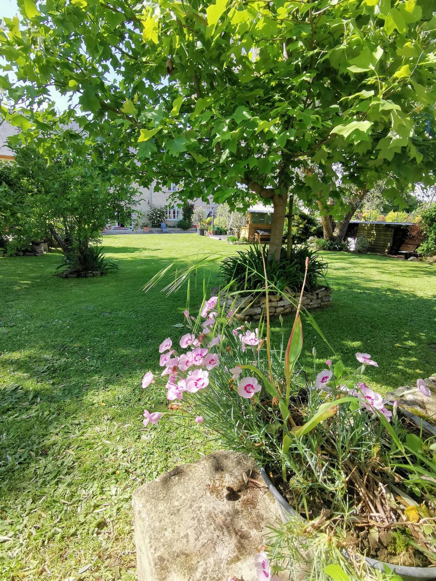 Chambre De L'Iris Sainte-Croix-sur-Mer 外观 照片
